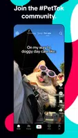 TikTok: Videos, Lives & Musik 螢幕截圖 3