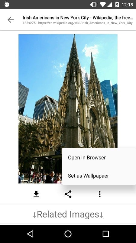 Image Search – ImageSearchMan Captura de pantalla 2