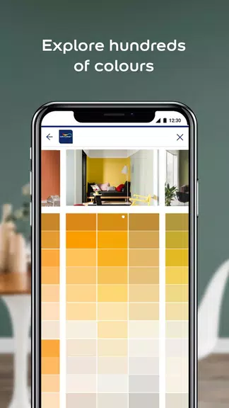 Dulux Visualizer PK ภาพหน้าจอ 1