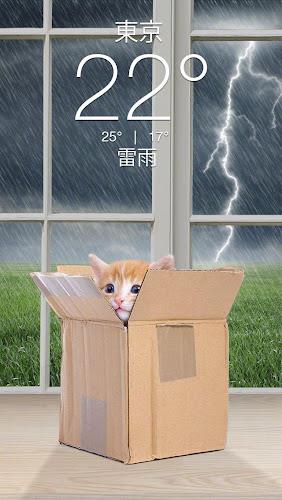 Weather Kitty - App & Widget Captura de tela 3