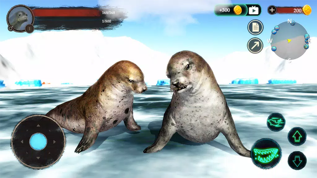 The Seal Screenshot 3