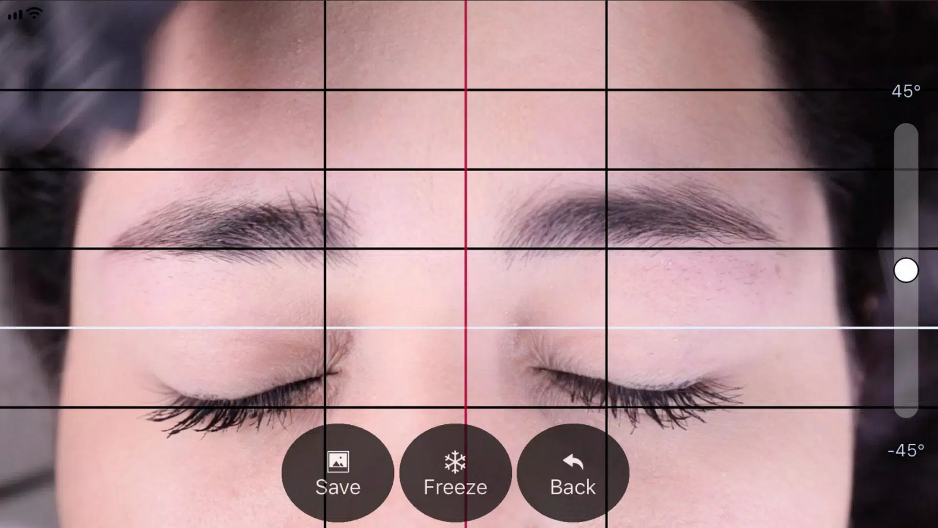 BeautyPro Symmetry App Interna 螢幕截圖 0