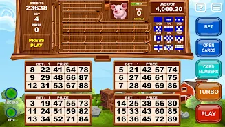 Video Bingo Little Farm 螢幕截圖 2