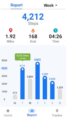 Pedometer - Step Tracker ဖန်သားပြင်ဓာတ်ပုံ 2