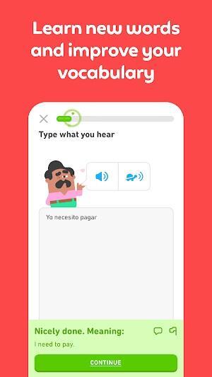 Duolingo Ekran Görüntüsü 3