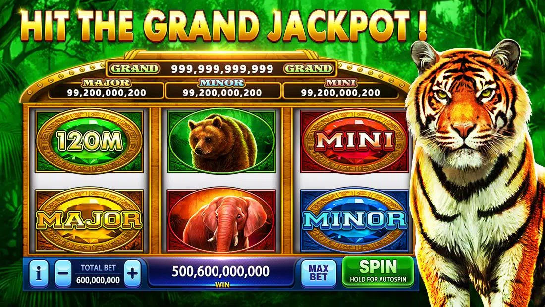 Pirate Fortune Slots Casino 螢幕截圖 3