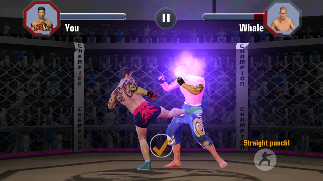 Fighting Manager 2019 Screenshot 2