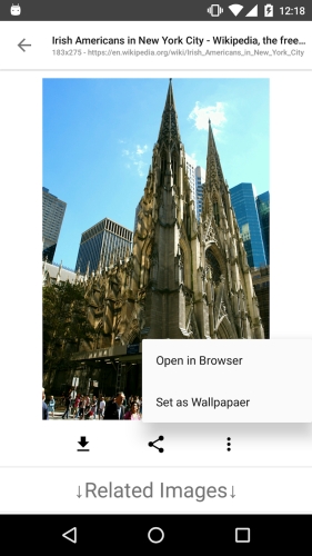 ImageSearchMan – Image Search Ảnh chụp màn hình 2