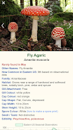 Shroomify - Mushroom Identific Capture d'écran 0