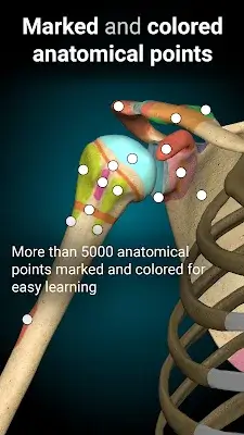 Anatomy Learning - 3D Anatomy スクリーンショット 2