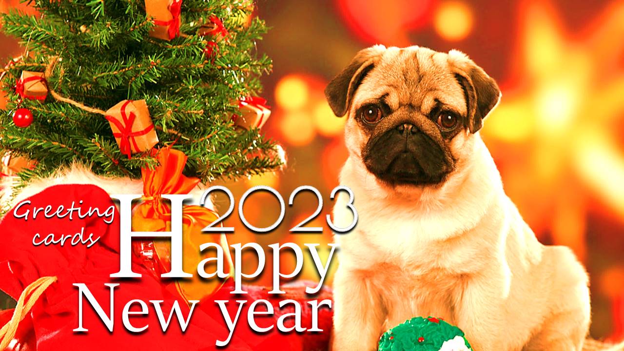 Schermata Happy NewYear Wishes 0