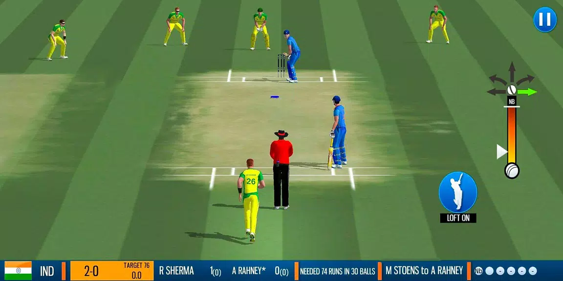 WCB2 Play My Career Cricket Tangkapan skrin 0
