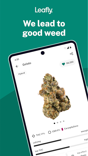 Leafly: Find Cannabis and CBD ภาพหน้าจอ 0