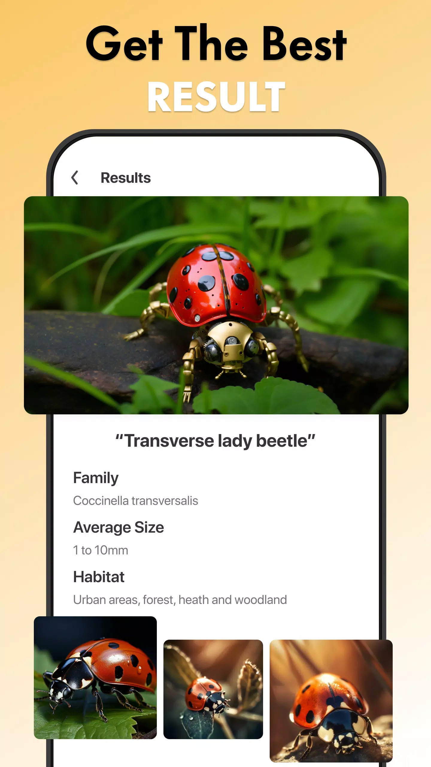 Insect Identifier Bug Identify स्क्रीनशॉट 2