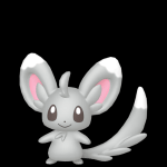 Minccino in Fashion Week costume