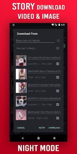 Video Downloader for Pinterest 螢幕截圖 2