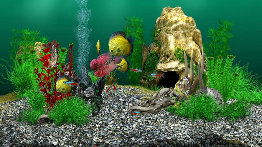 AquaLife 3D スクリーンショット 3