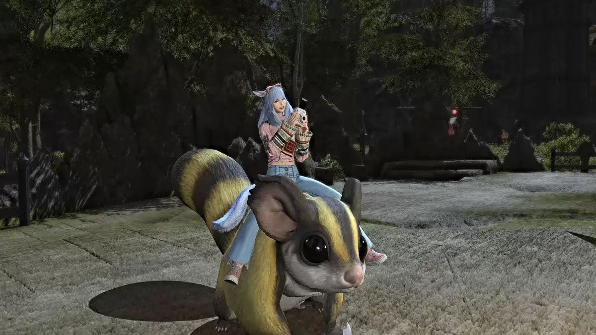 ภาพหน้าจอแสดงรูปถ่าย Emote ที่ใช้บนเมาท์ใน ffxiv