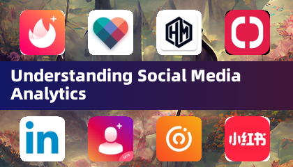 Understanding Social Media Analytics