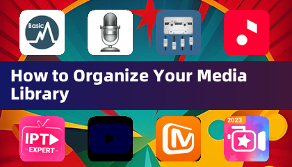 How to Organize Your Media Library