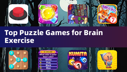 Top Puzzle Games for Brain Exercise